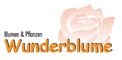 Wunderblume GmbH